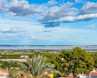 Resale - Detached Villa - San Miguel de Salinas