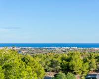 Resale - Detached Villa - San Miguel de Salinas